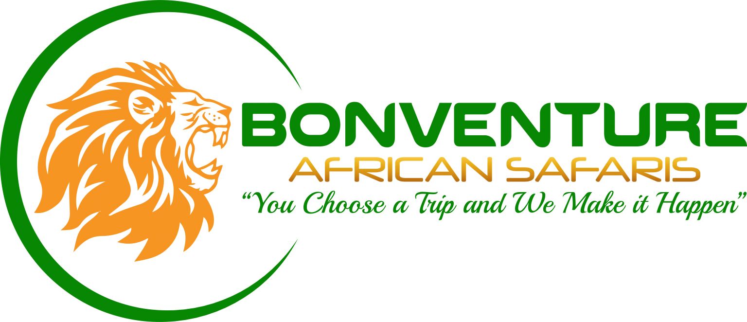 Bonventure African Safaris